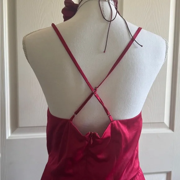 Gorgeous Romantic Coquette Cherry Satin Midi Dress with Cowl neckline - Picture 5 of 8